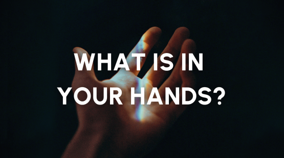 News Stories (13).png