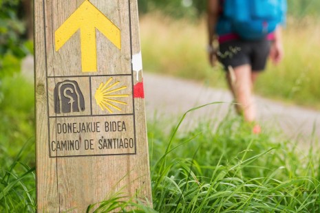 Camino 5.jpg