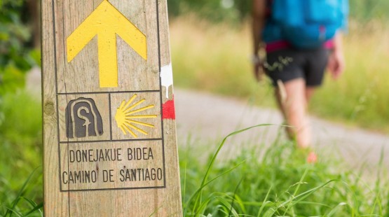 Camino 5.jpg