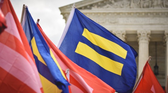 Flags (political)